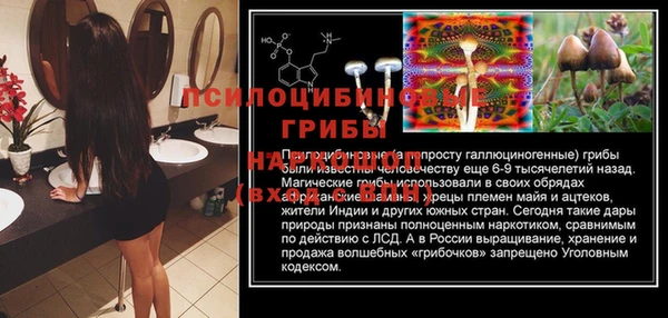 PSILOCYBIN Абинск