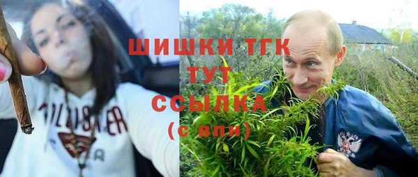 PSILOCYBIN Абинск