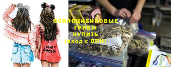 PSILOCYBIN Абинск