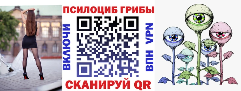 сайты даркнета какой сайт  Торжок  Галлюциногенные грибы Cubensis  KRAKEN ССЫЛКА 