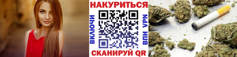 как найти Торжок Канабис сатива